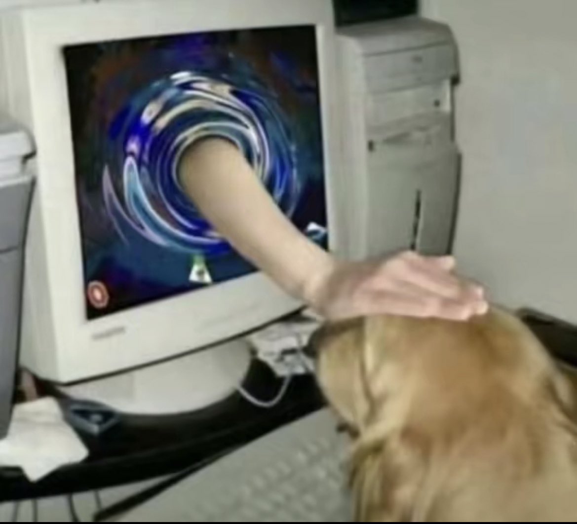 탐라의 모든 강아지들을 만지고싶어