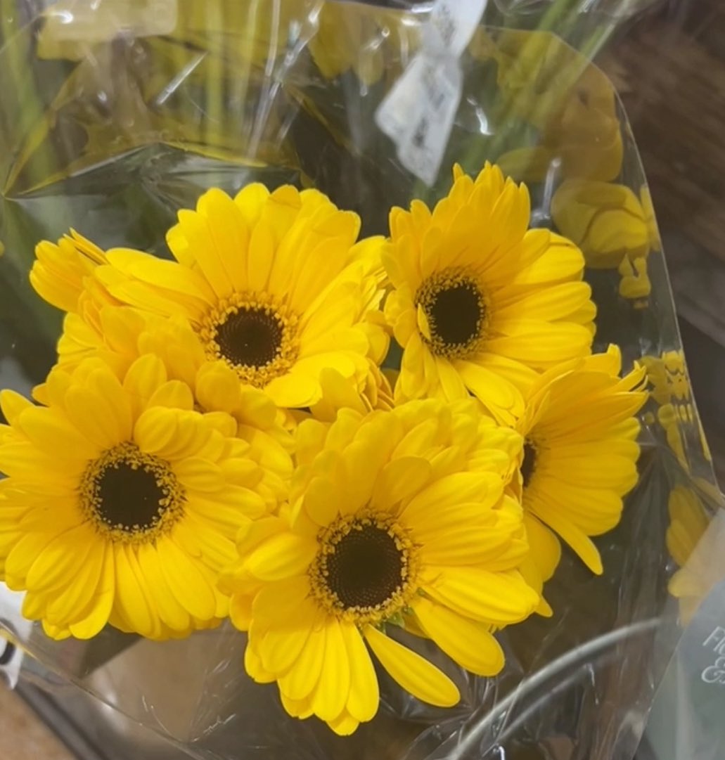 ایک اور خوب صورت دن کا آغاز  الحمدواللہ 
اسلام عیلکم۔ ٹوٹر کی دینا کے سب دوستو ں کو  زندگی بہت خوب صورت ہے  تھوڑا سا وقت اپنے آپ کو بھی دیں ۔ کیوں کہ  جتنا مرضی کسی سے کر لو وہ سوچتا اپنا ہی ہے ۔ تو خوش رہیں اپنے آپ سے بھی بڑی رونقیں ہوتی ہیں 🌷
صلی اللہ علیہ وسلم 🌹
#الحمدلله ❤️