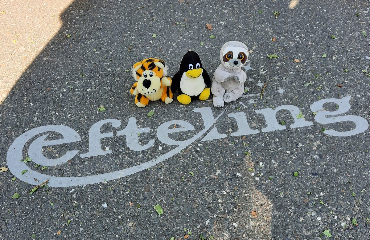 🦥🐧🐯:
2 Tage Karussells fahren.