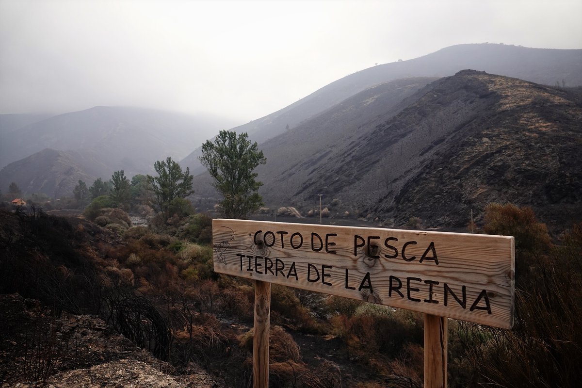 Las imágenes del entorno del Parque Nacional de Picos de Europa, afectado por el fuego. El incendio de Barniedo de la Reina (León) ha obligado a desalojar una decena de localidades tinyurl.com/3cavta4b