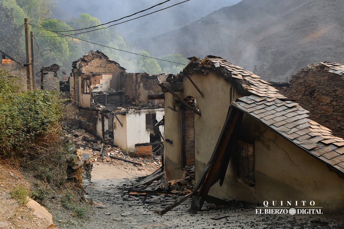 Quinito🖤 tweet media