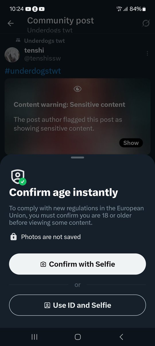 Thirteen (#1 chris hater) tweet media