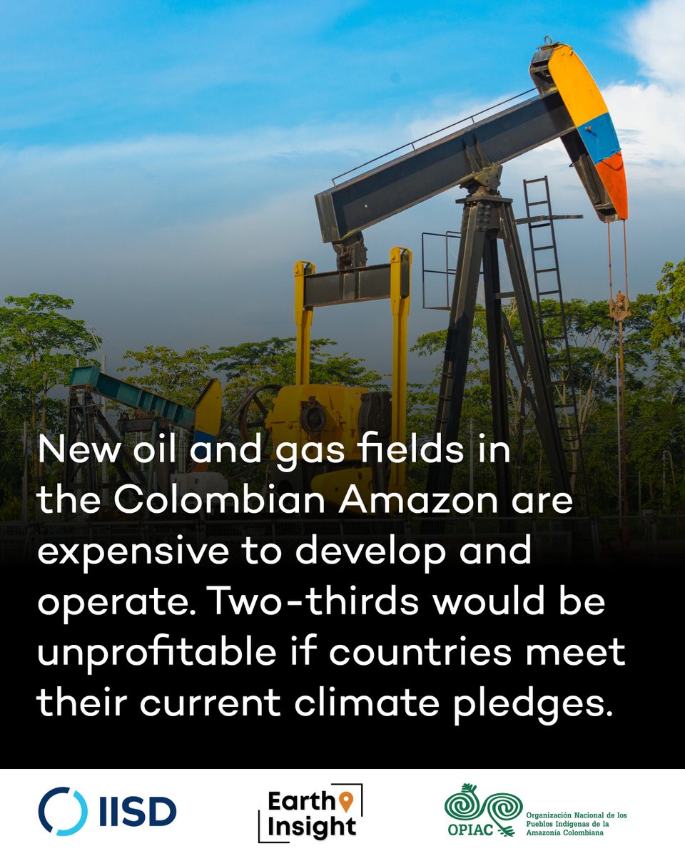 IISD Energy tweet media