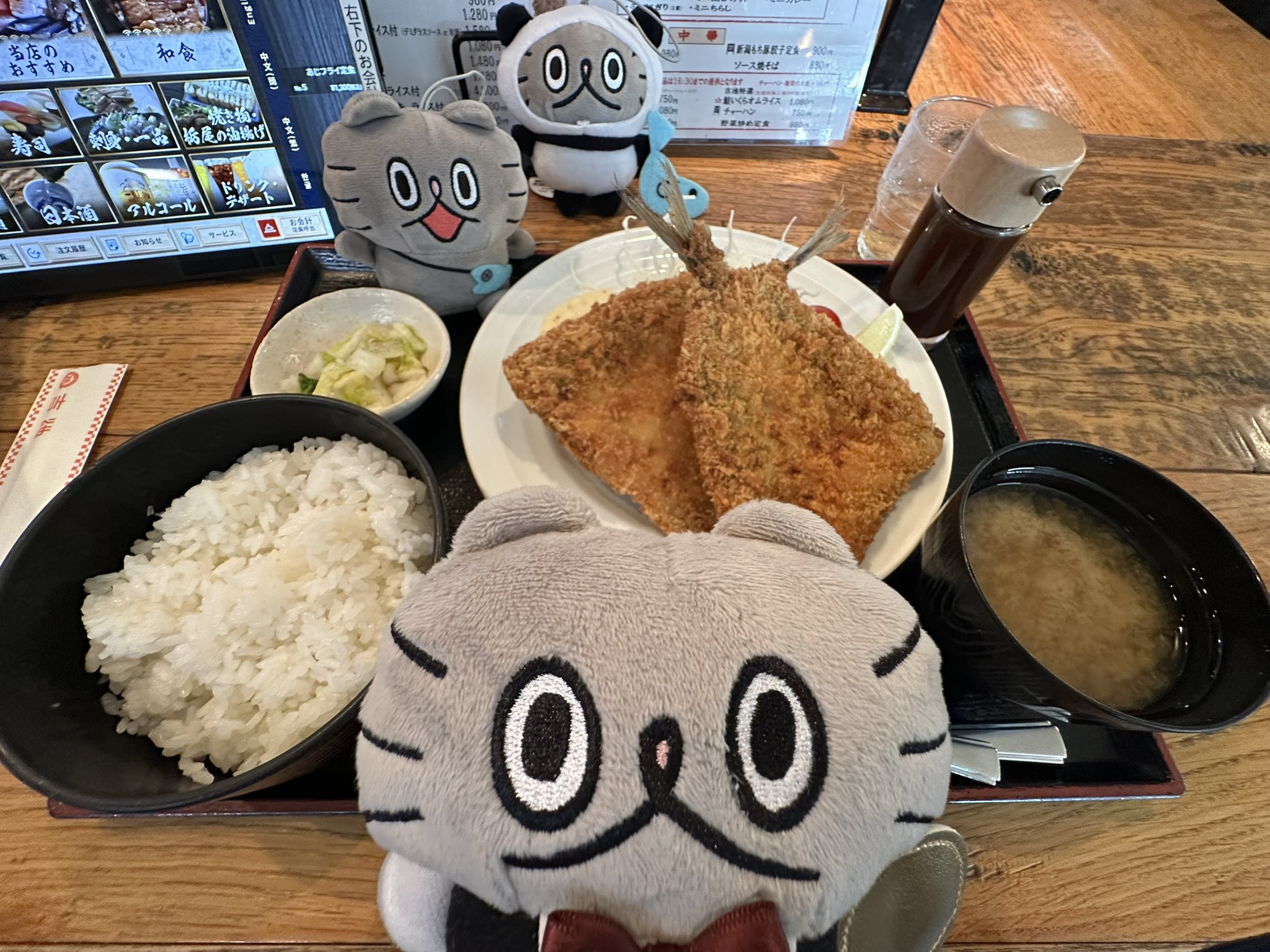 高橋きの 🐟ねこのぶーちゃん♨️ぶ〜の湯ありがとうご