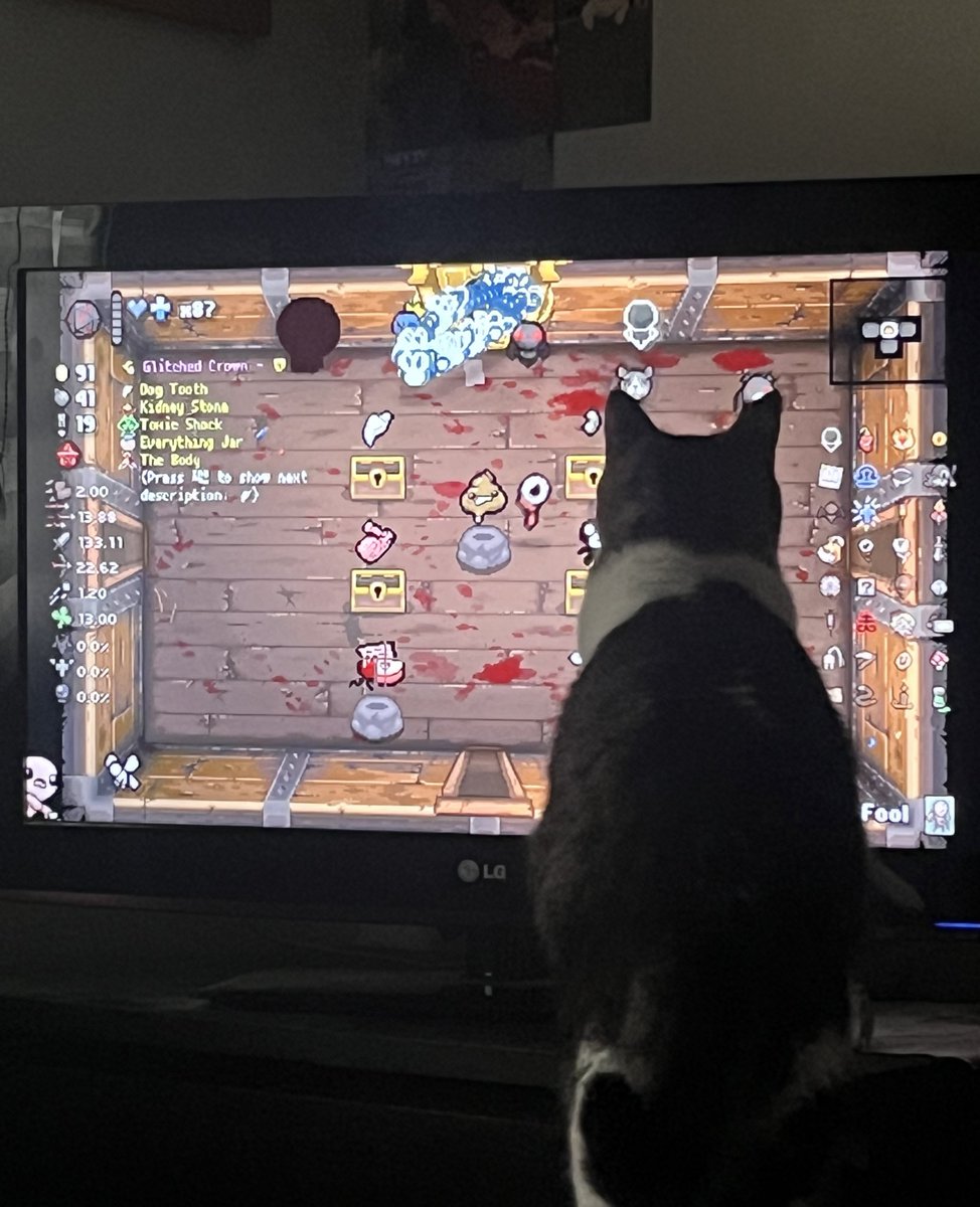 chatmignon__'s tweet photo. toto en plein focus isaac https://t.co/edEVv4sM5W