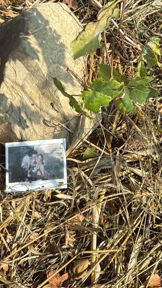 Ho trovato questa sotto a una vigna… voglio pensare che sia una foto buttata dal finestrino di un auto dopo la fine di un amore profondo, anche se ammetto che come prima cosa ho pensato che uno dei due ragazzi è stato sepolto sotto i grappoli d’uva e che quella è una foto-lapide