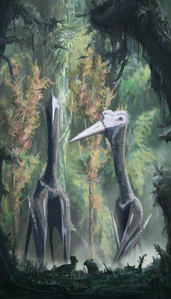 deepc_cryptid's tweet image. Love these guys