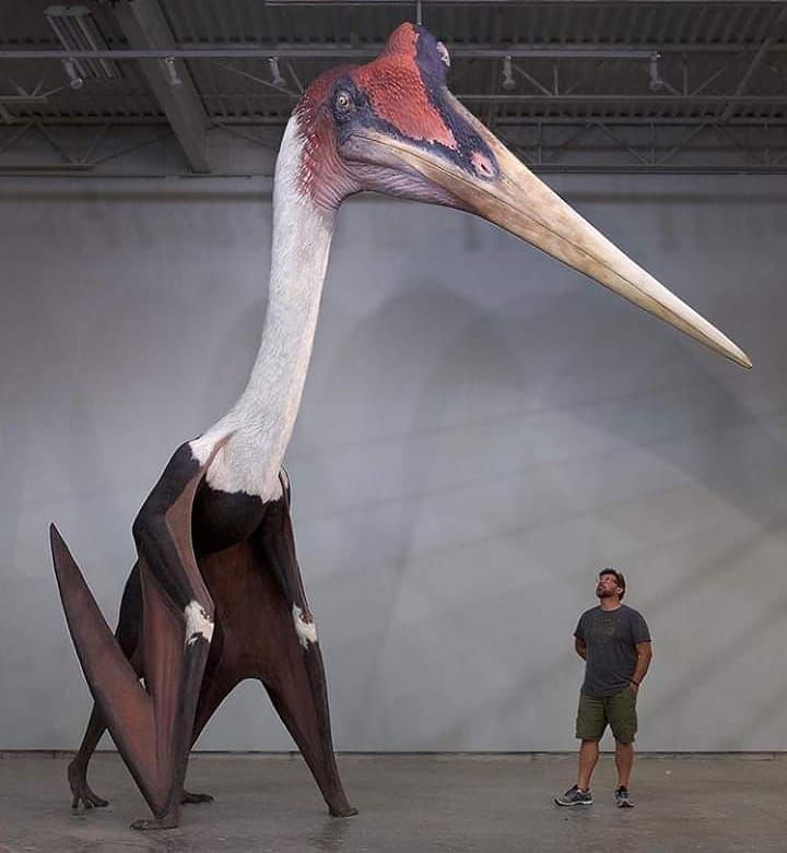 deepc_cryptid's tweet image. Love these guys