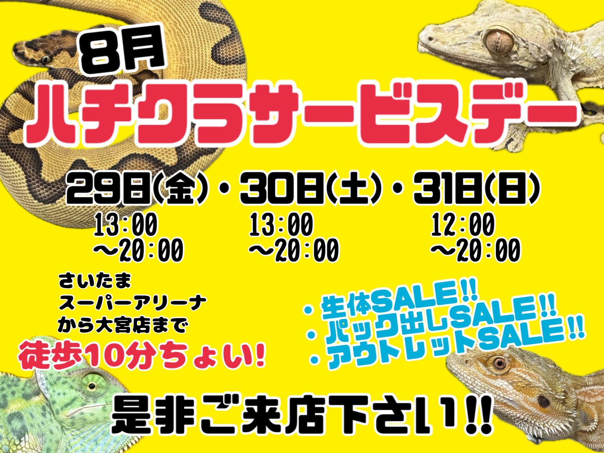 【はきちゃん】爬虫類ケージ×5 30×20×15 フォロ割 はきちゃん】爬虫類ケージ×5 30×20×15 フォロ割 爬虫類ケージの