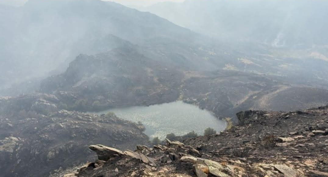 A Xunta a día de hoxe segue sen informar do incendio activo en Pena Trevinca, tras entrar na provincia por Zamora e que arrasou boa parte deste enclave medio ambiental

Falan de 70.000 hectáreas arrasadas, pero o número é moito maior, cun incendio enorme que non sae nos rexistros