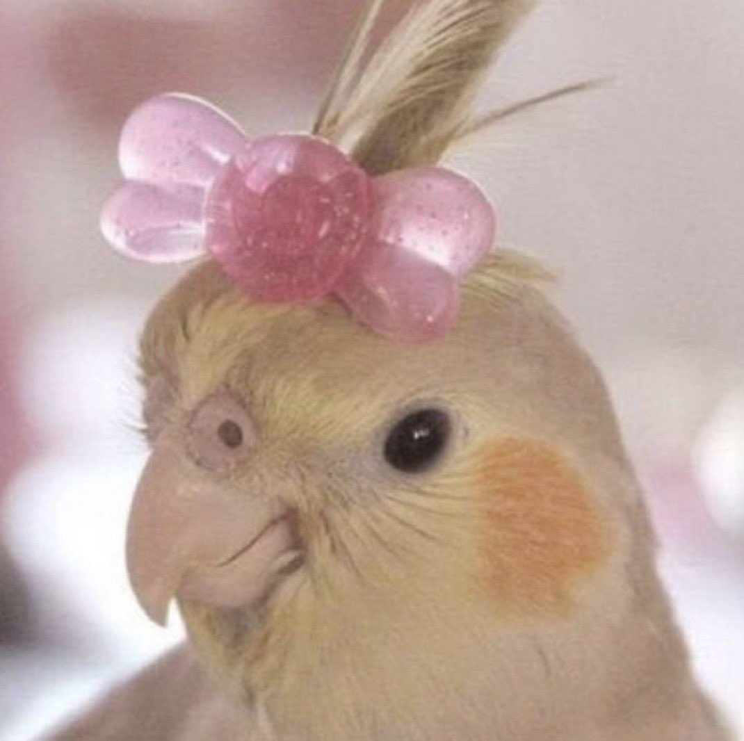 parfüm sıkmadığın halde koku iltifatı alınca