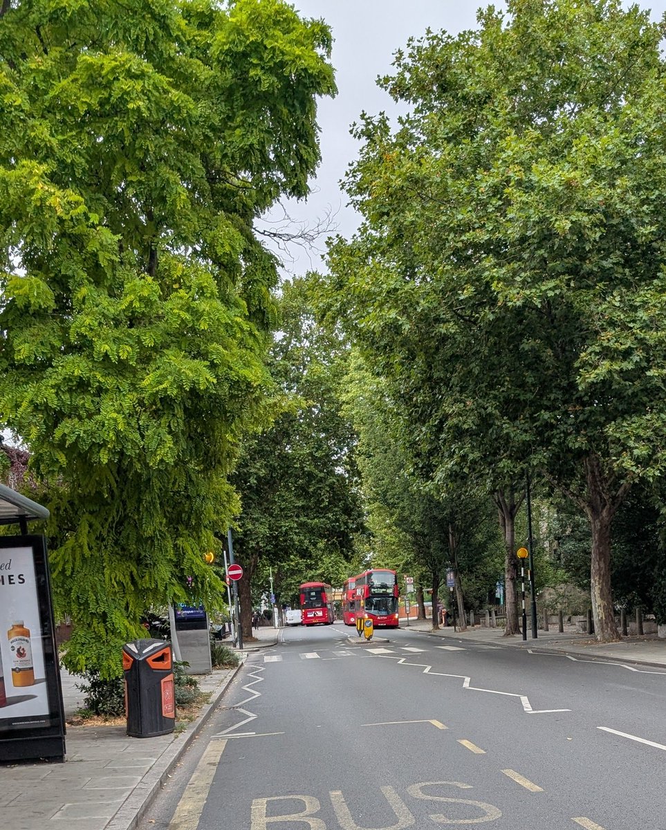 betterstreetswd's tweet photo. School holidays free BUSES from congested traffic on Norwood Road and across London ☀️💚

Want to 'save our buses'? 🚌

Reduce motor vehicle traffic with proven measures: 💚

#LTN,  #CPZ, #CongestionCharge AND

Safe #ActiveTravel routes for families and vulnerable road users 💚 https://t.co/GUqMJ8zylt