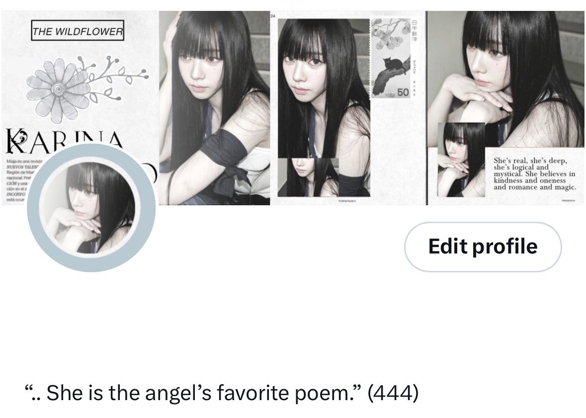 𐚈 tweet media