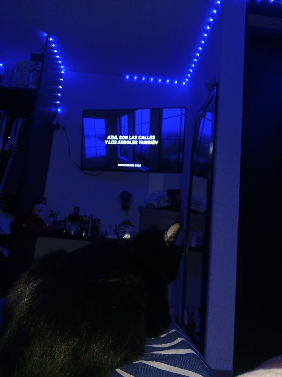 Escuchar música a todo volumen y tener a tu gato de compañía 💯