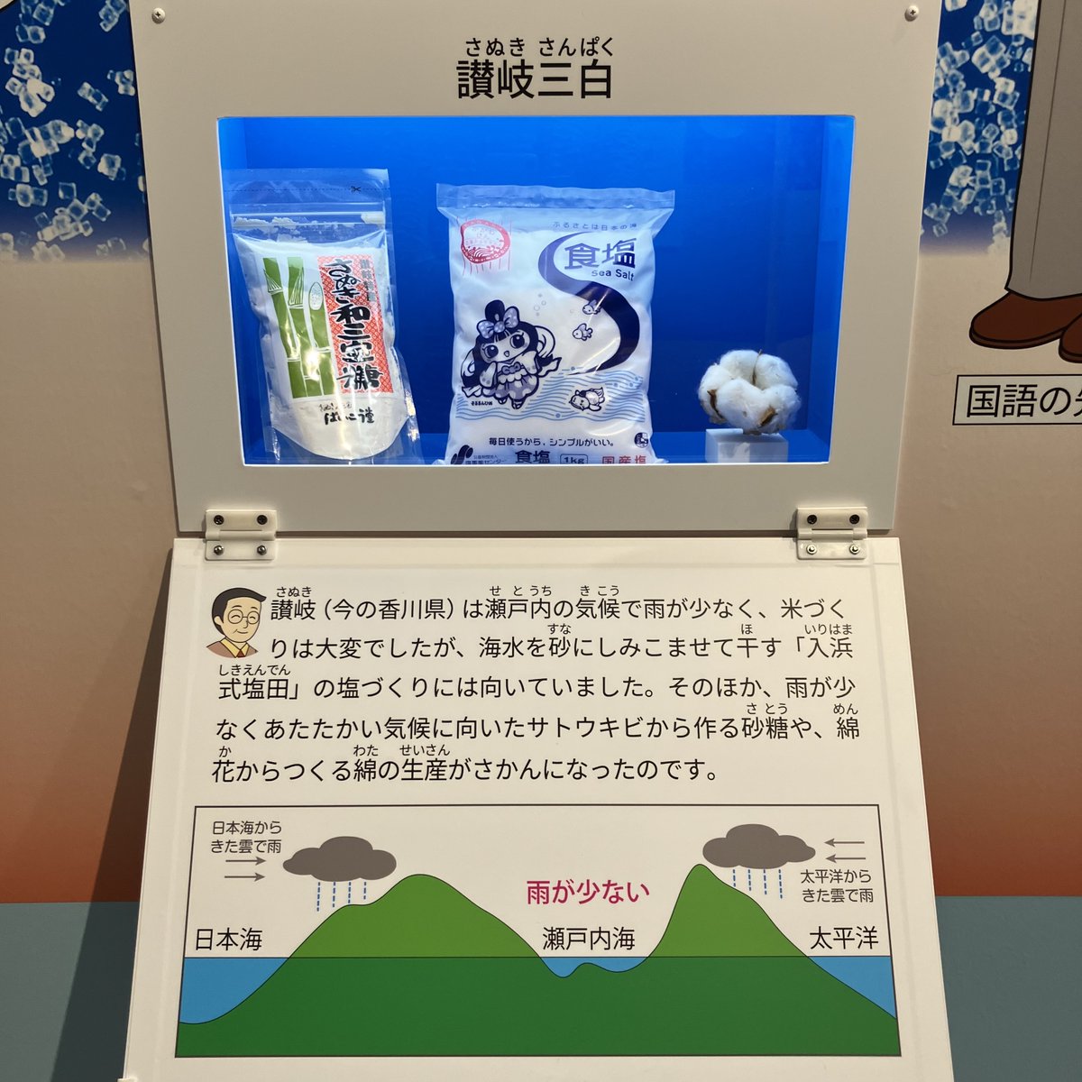 GWセール！早い者勝ち！ホケノ山古墳の研究 ホケノ山古墳の研究 / | 歴史・考古学専門書店 六一書房