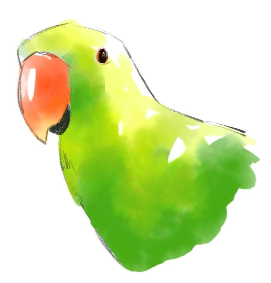 tk_eckie's tweet image. ツールが多くて使いこなせない（とすべてのペイントソフトで言っている） #絵 #Fresco