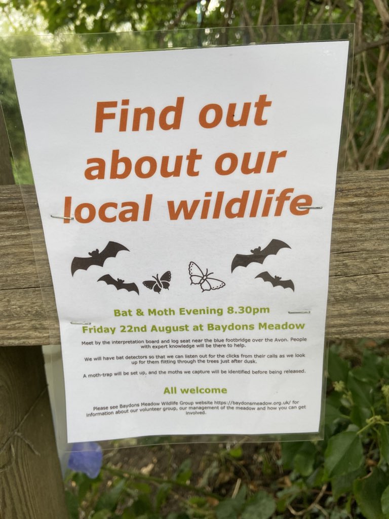 Baydons Meadow tweet media