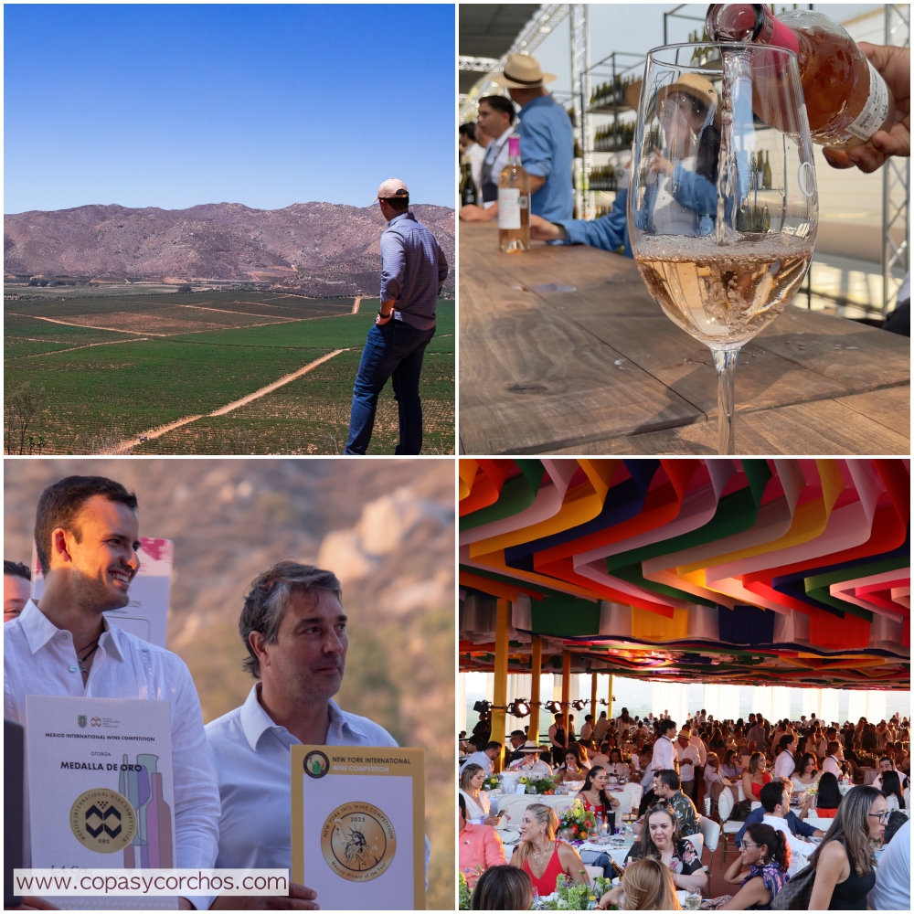 Bodegas Cetto hace historia en su 97ª Fiesta de Colores

copasycorchos.com/2025/08/bodega…