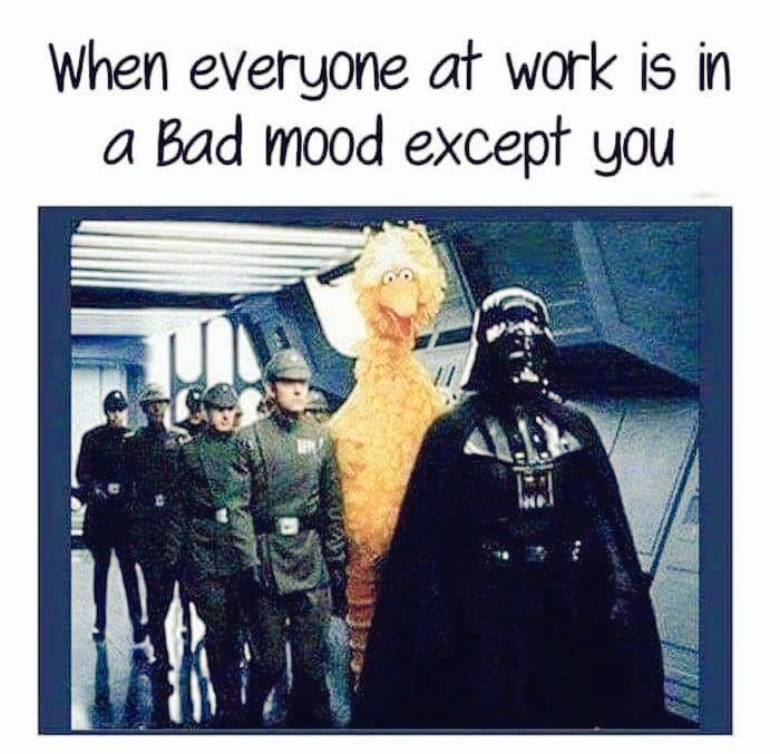 Good morning dear breathtaking Twitteroonies of light n shade☕🌞
Tyrsday has landed, temp's down almost 10° #winteriscoming 🫣
I wish yous a fabulous day full of kindness, happiness, optimism, hope, wisdom, magic, knowledge, insight, learning, funs, joys, smiles n laughter😊🤙