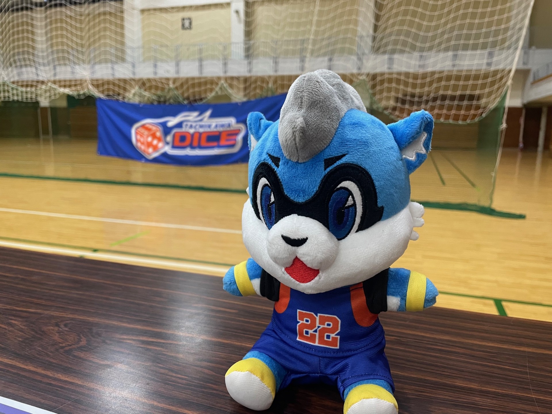ノイズとダイアローグの共同体 : 市民社会の現場から ノイズとダイアローグの共同体 : 市民社会の現場から(川那部保明