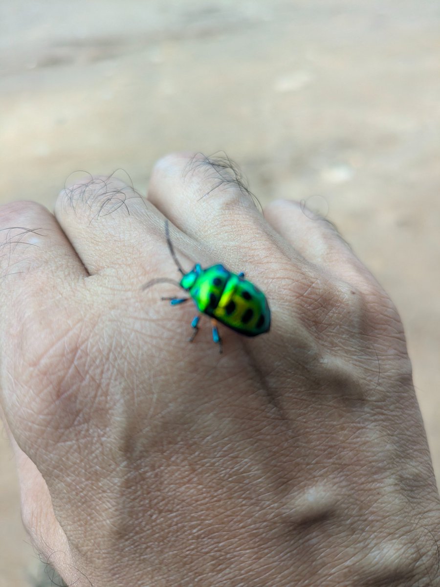 m_r_dinesh's tweet image. Hand-shake protocol initiated… by a bug

#bugreport
#patchtuesday