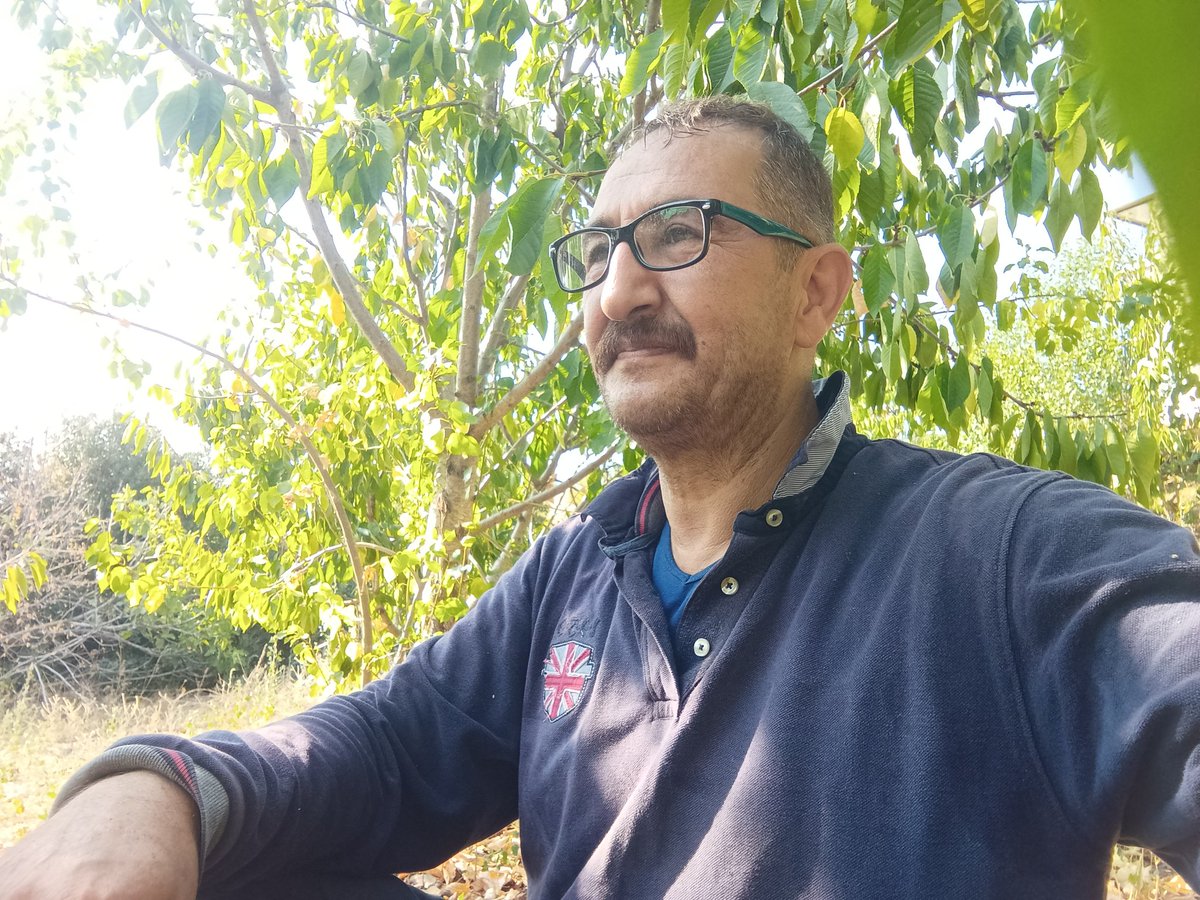 Sol cebimdeki para  ve ağacın gölgesi. gerisi teferruat