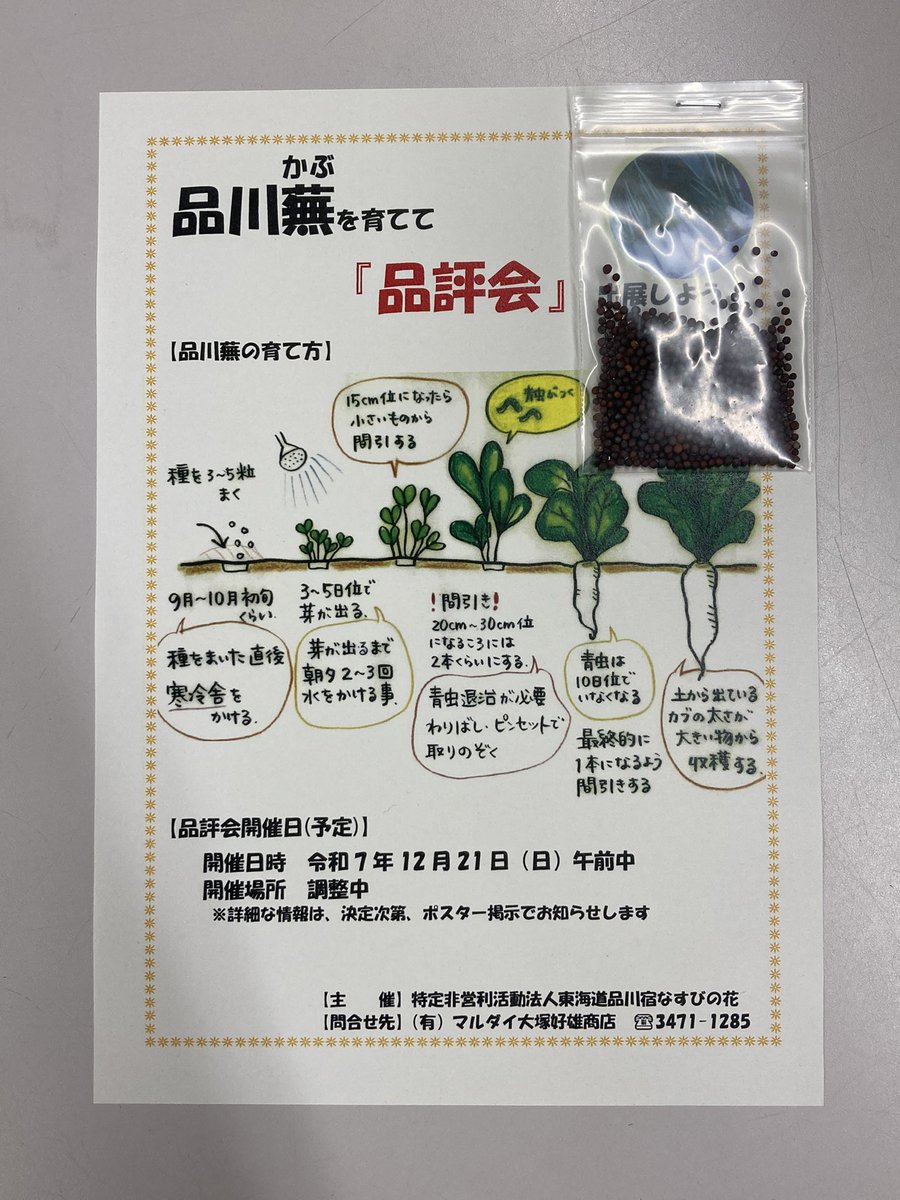 471_Chikuiinkai's tweet photo. 【#品川第一地区イベント情報 】
＼品川蕪の種を配布しているよ／

品川第一地域センターで、#品川蕪 の種を配布しているよ。
プランターでも栽培できるみたいだから、ぜひ挑戦してみてね🌱

収穫した品川蕪は、12月に予定されてる #品評会 出展してみようー！

#東京江戸野菜 #先着順 #30人分 #種 https://t.co/gnb0gCBWdL