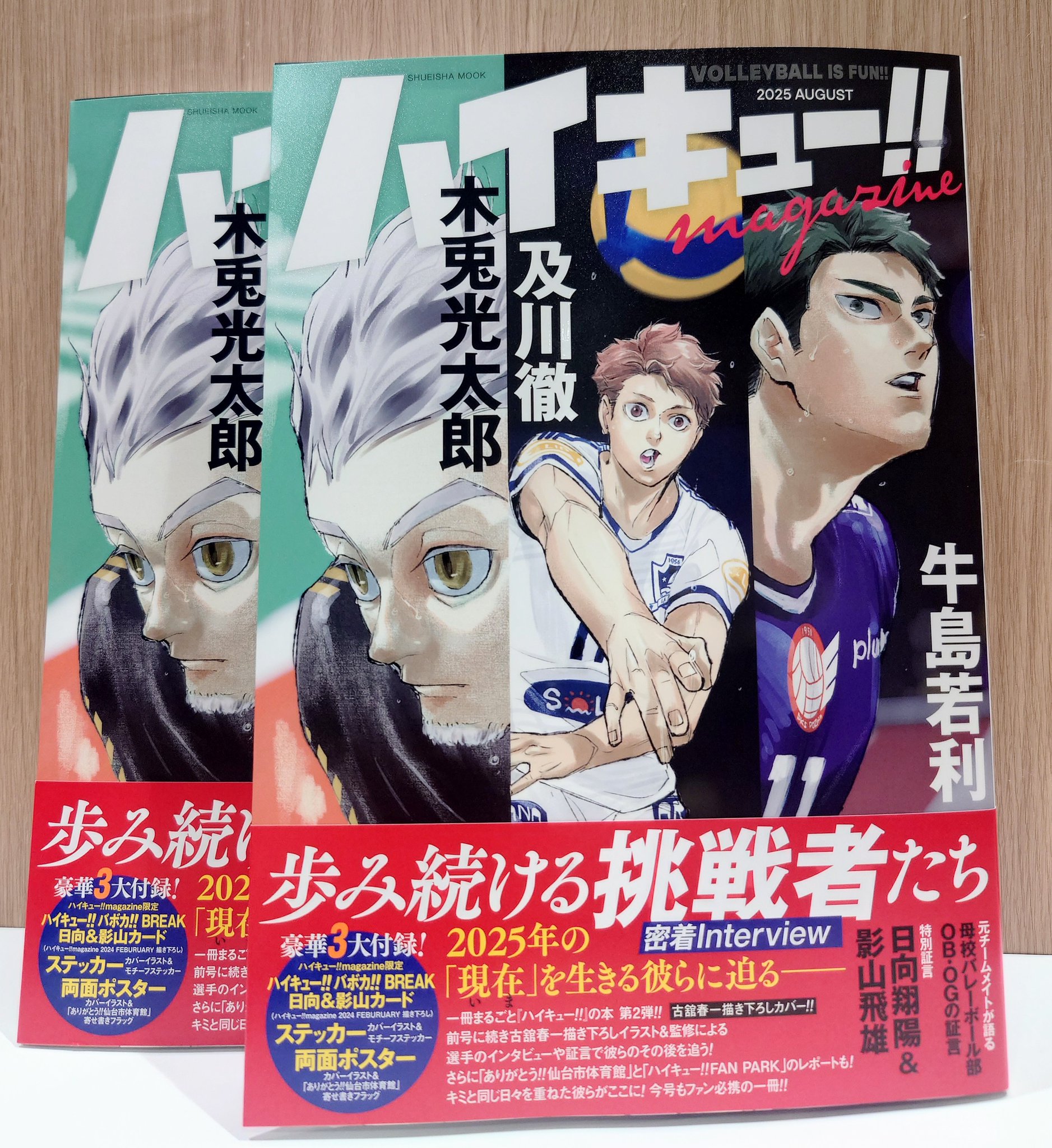 ハイキュー　　非売品ロングポスター ハイキュー 非売品ロングポスター 51nPaCSPXvL._UF894