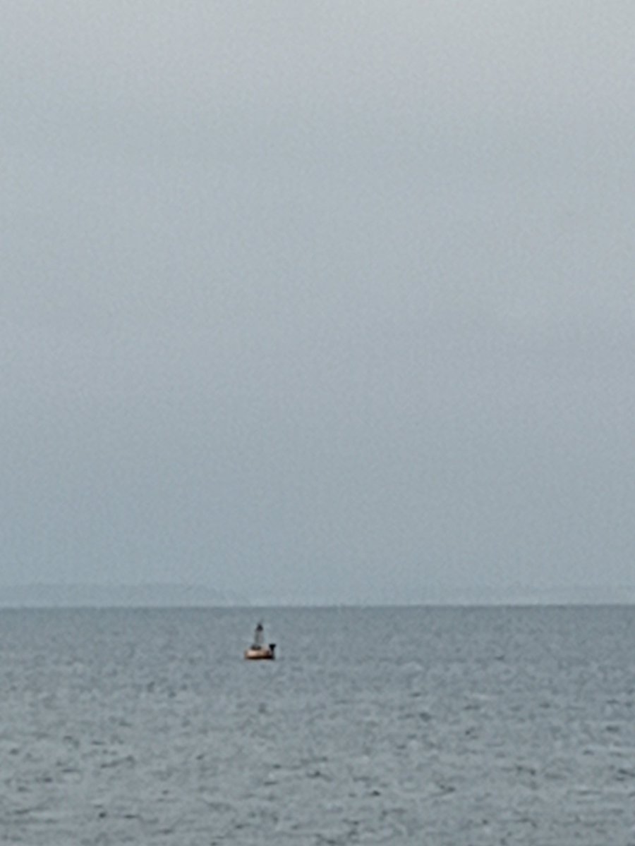 zlatka7's tweet photo. No beach today! A little rainy day:) https://t.co/ekY7VaBODk