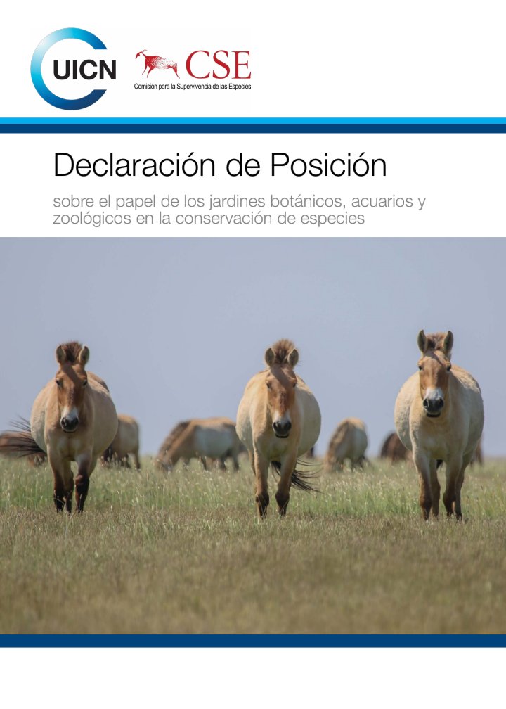 Andrea Echeverry-Alcendra💚🐢 tweet media