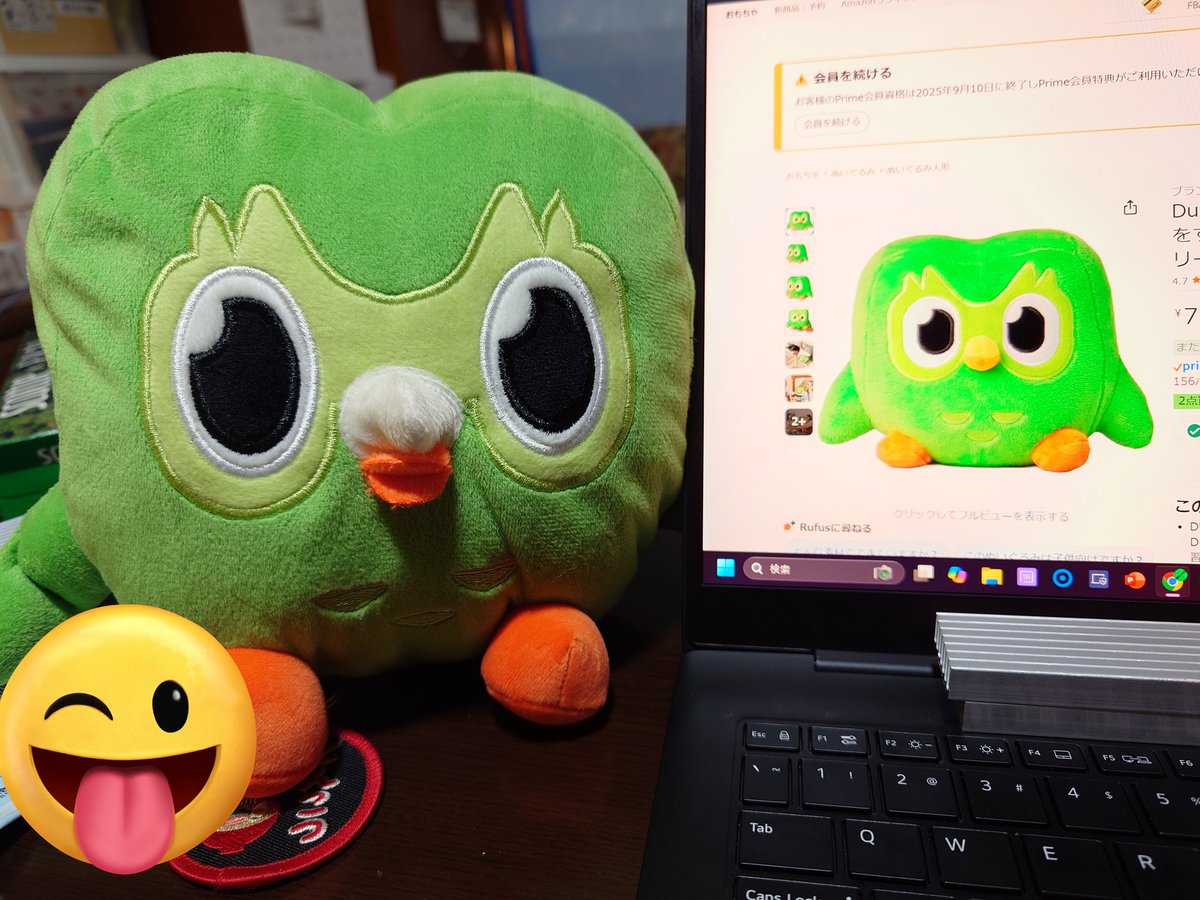 ビーバー様【リンゴ❤︎ 説明文&プロフ必読】 Duolingo(デュオリンゴ) | 日本公式🇯🇵 (@Duolingo_Japan) / X