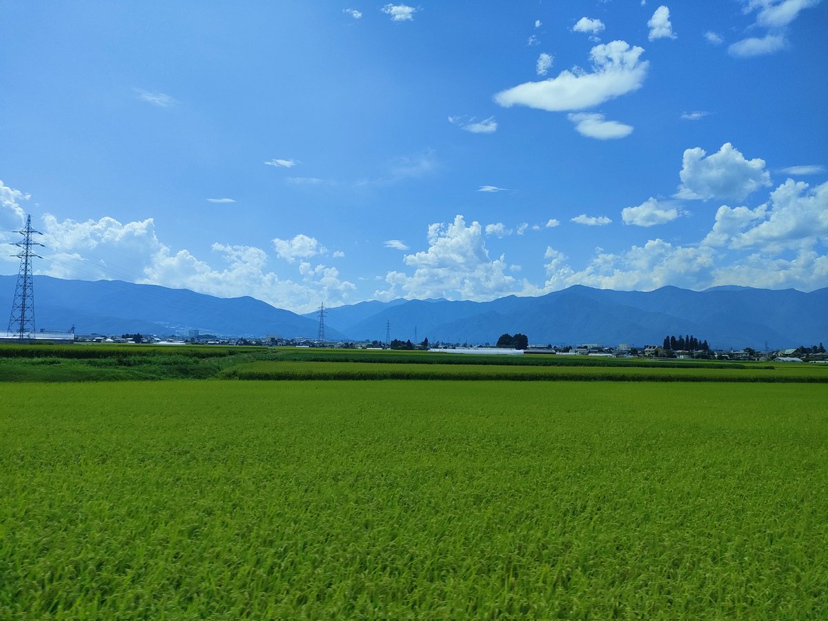 松本出張〜
夏だね。夏。