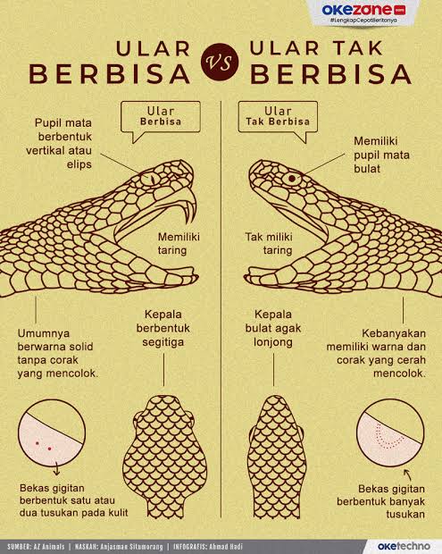 Ｒｉｏ Ｄｉｓｃｕｓｓ™ tweet media