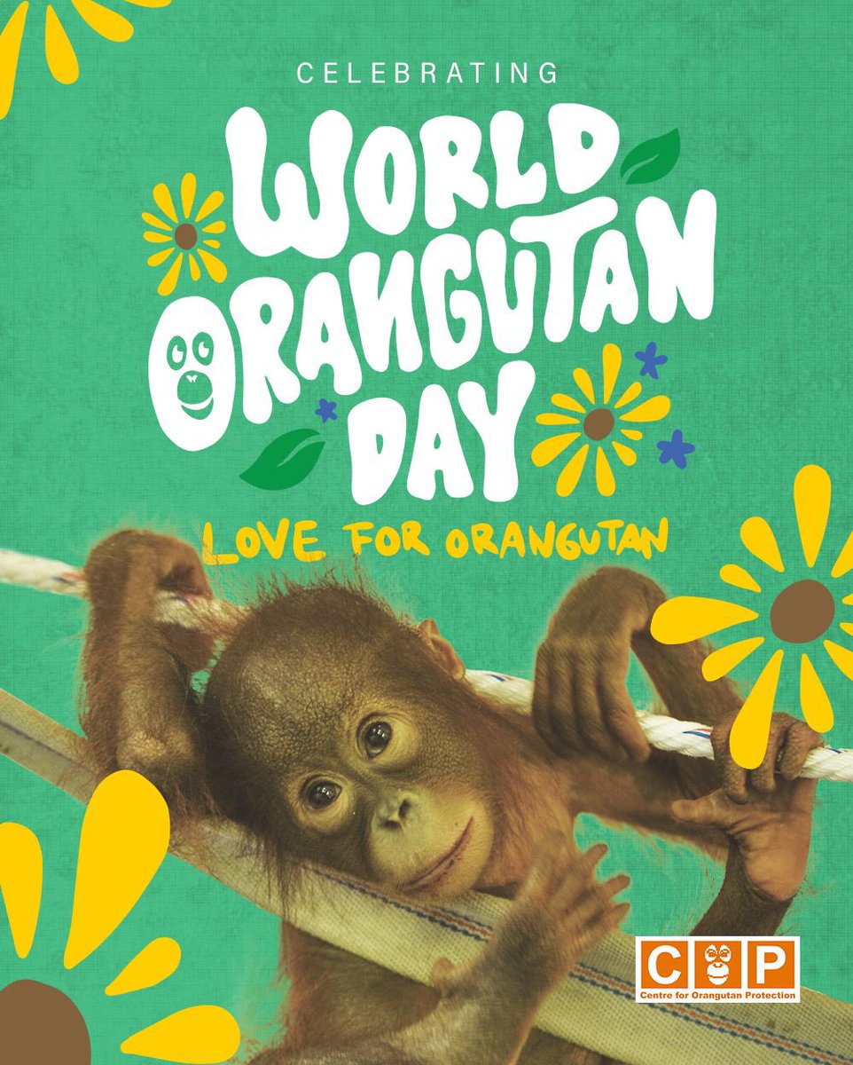 World Orangutan Day 2025 😍
Nantikan aktivitas #orangufriends para relawan orangutan COP yang tersebar 😉
Let’s Protect the Orangutan and Beyond 🦧