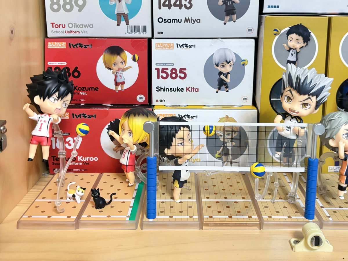 ハイキュー‼️の日おめでとう!!!!!