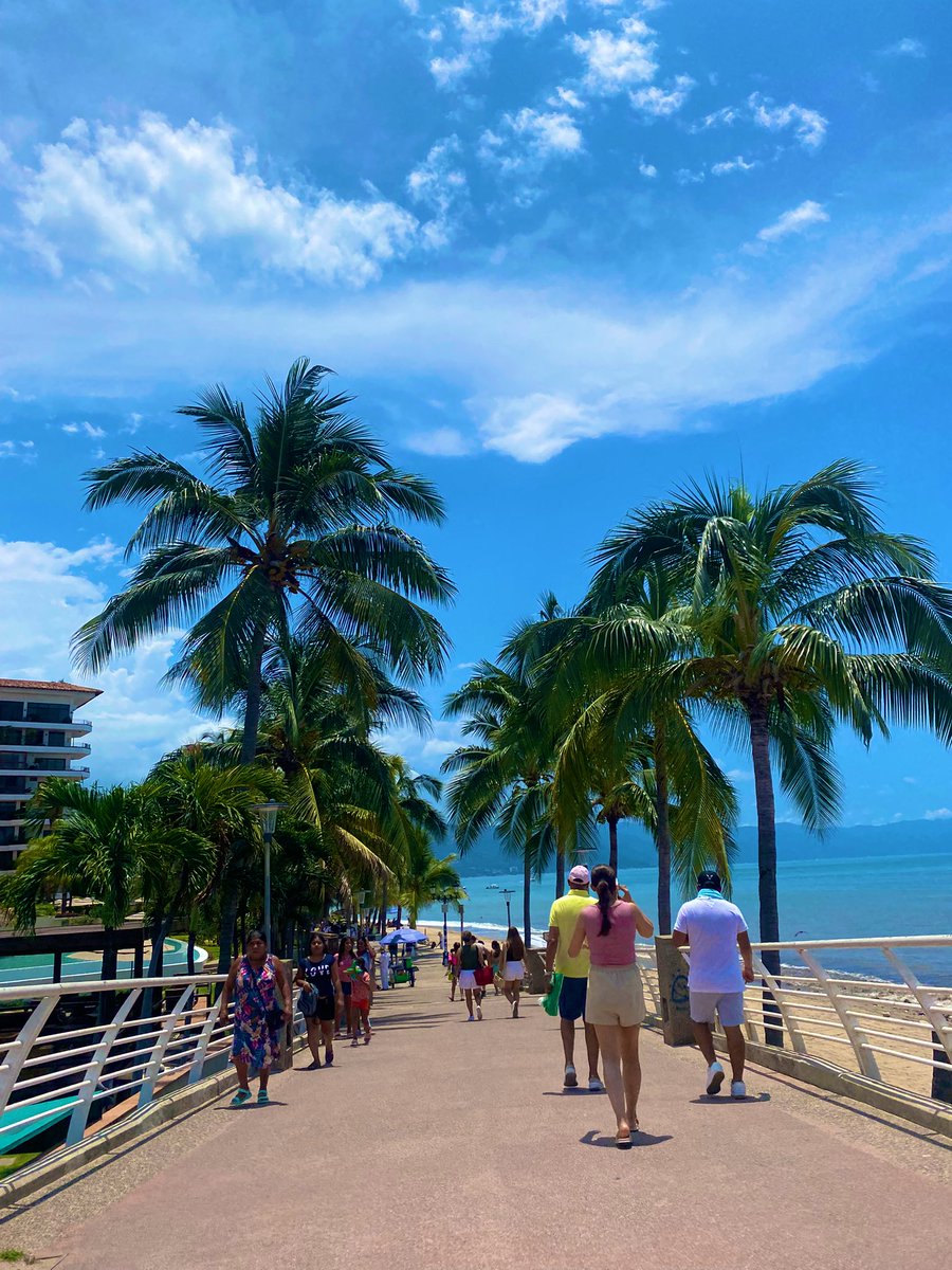 Jessica37659031's tweet photo. En efecto, solo me hacían falta unas vacaciones, amamos Vallarta ☀️🌴 https://t.co/g8VFHsmjwL
