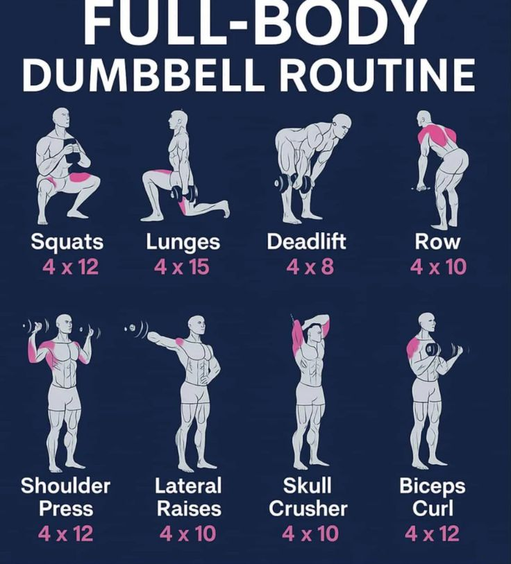 FitnessGuide0's tweet image. Full body workout
