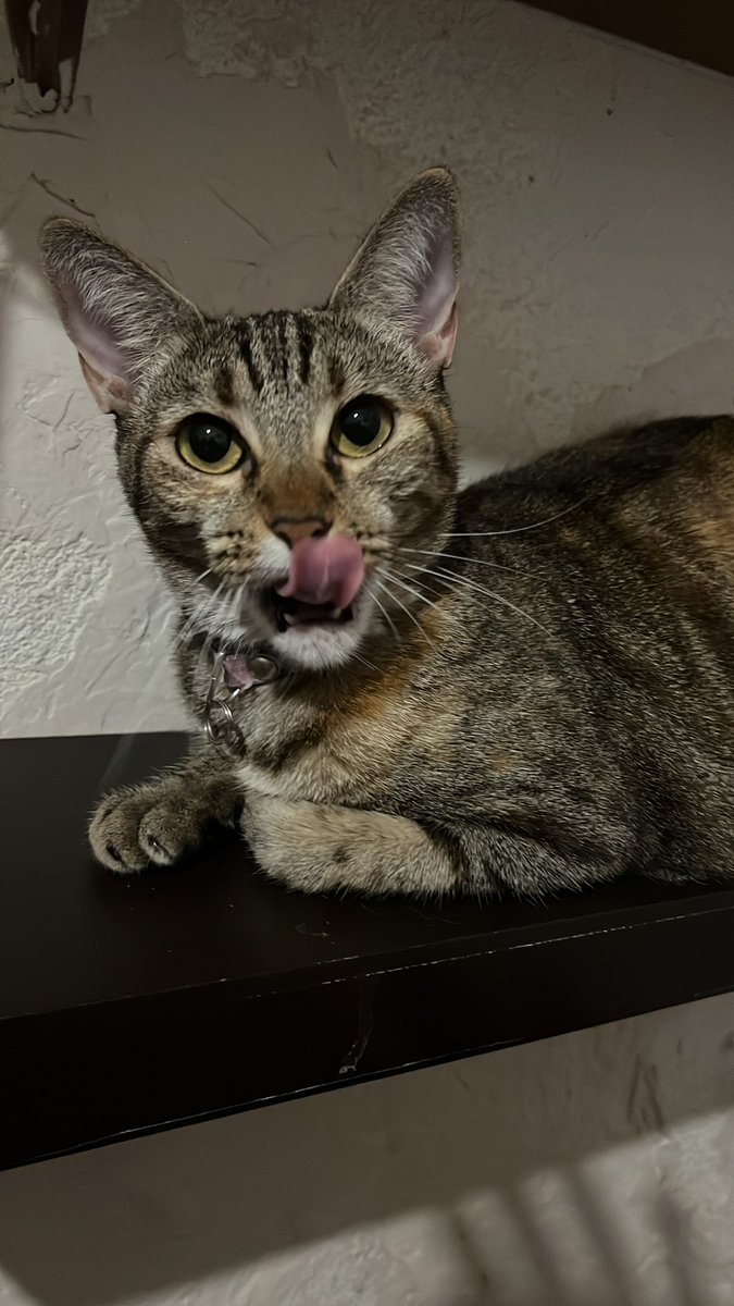 Hoy se duerme en casa y la Beibe lo sabe ❤️

Buenas 🌓