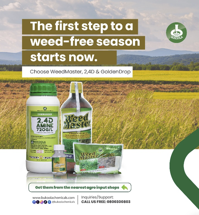 ntvuganda's tweet photo. #AD: A weed-free season is within your reach. Choose Weed Master, 2,4D, and Golden Drop, the perfect combination to tackle any weed challenge. Available at your nearest agro input shops.
#BukoolaChemicals #AgroInputs #WeedManagement #WeedMaster #GoldenDrop https://t.co/MNfvzSTVqu