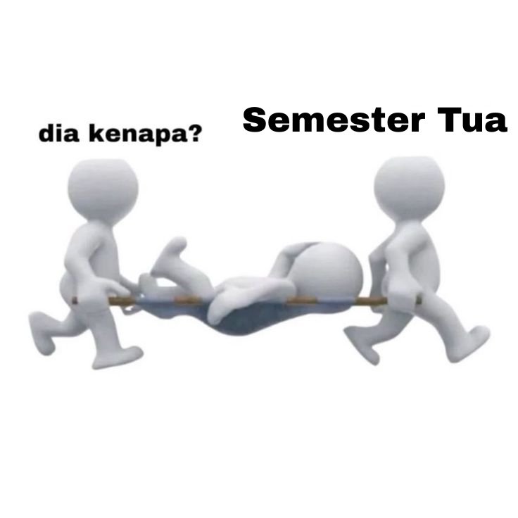 BEM FT Undip tweet media
