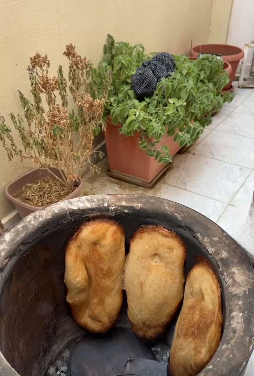 مع السبر ماينفع الا دوح التنور