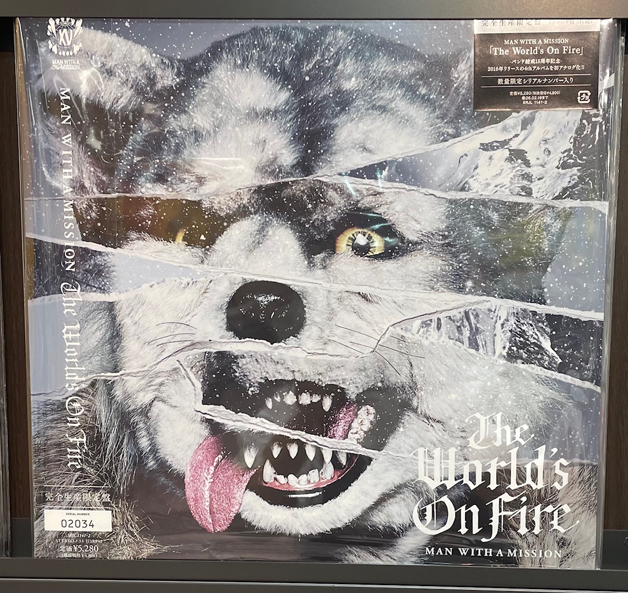 新品Ftheworld (LP) KMレコード WENOD RECORDS : KM - Ftheworld [LP] Mary Joy Recordings