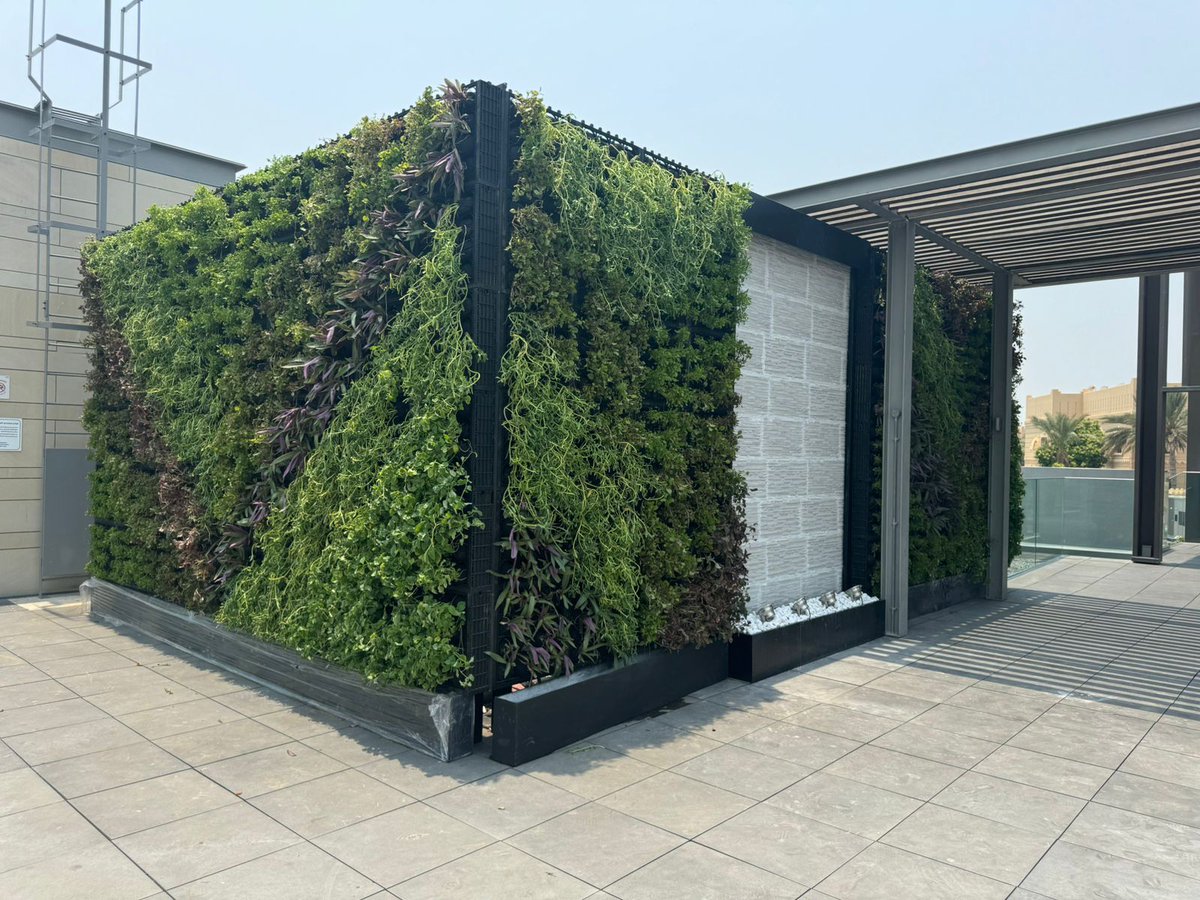Greenmosswall's tweet image. 🌿 Some of Our Indoor &amp;amp; Outdoor Live Green Wall Projects 🌿

🌐 greenartfactory.ae
☎ Voice/WhatsApp: +971 56 95 88 315 / +971 50 127 8530
📧 info@greenartfactory.com

#GreenArtFactory #LiveGreenWall #OutdoorGreenery #GreenWallInstallation #IrrigationSystem #VerticalGarden