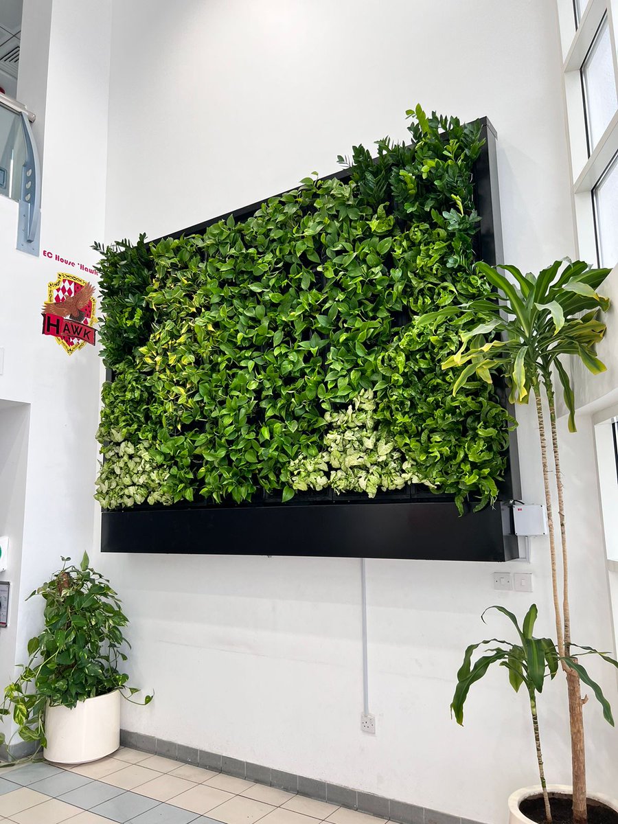Greenmosswall's tweet image. 🌿 Some of Our Indoor &amp;amp; Outdoor Live Green Wall Projects 🌿

🌐 greenartfactory.ae
☎ Voice/WhatsApp: +971 56 95 88 315 / +971 50 127 8530
📧 info@greenartfactory.com

#GreenArtFactory #LiveGreenWall #OutdoorGreenery #GreenWallInstallation #IrrigationSystem #VerticalGarden