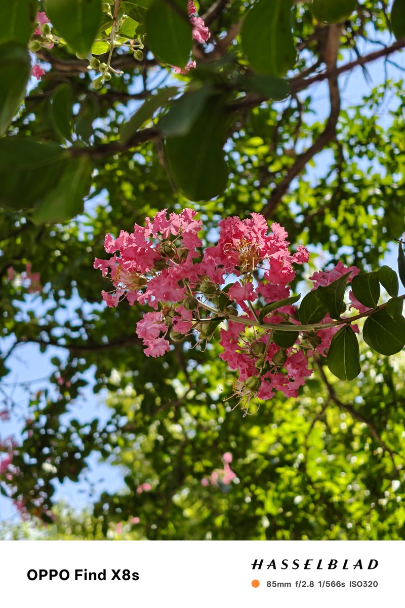 she888🇯🇵🤝🇨🇳日中友好！ tweet media