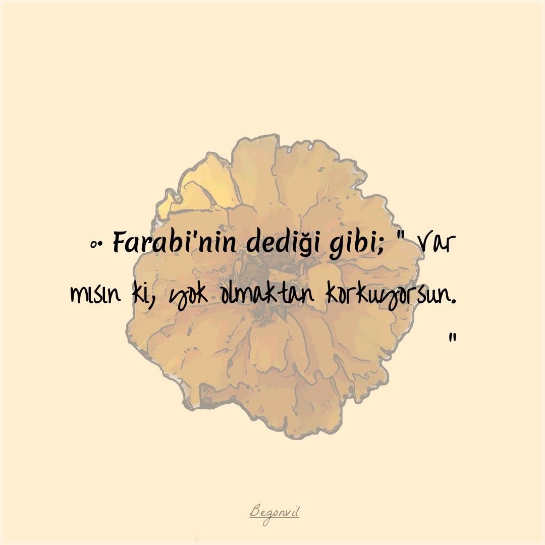 dikkatmedya's tweet photo. https://t.co/VMrh1Yrq7w