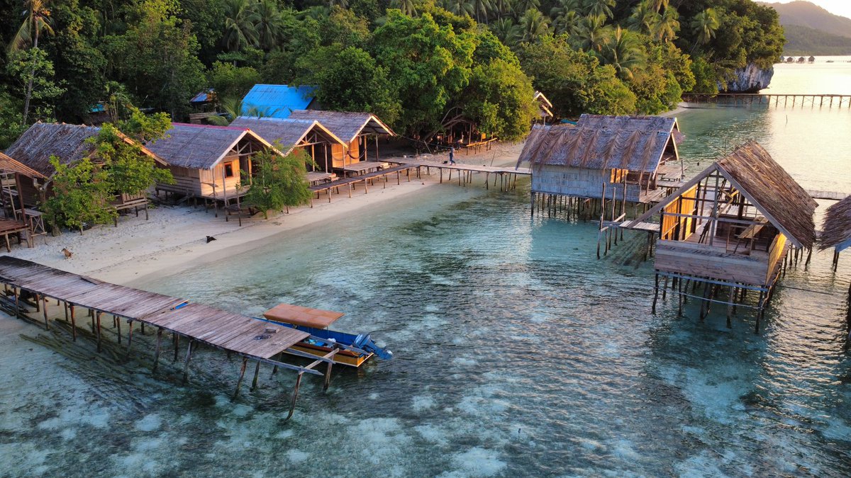 brn_killers's tweet photo. Lo chiamano l'ultimo paradiso sulla Terra e penso lo sia davvero: Raja Ampat, Papua Indonesiana https://t.co/iXpAkbqdft