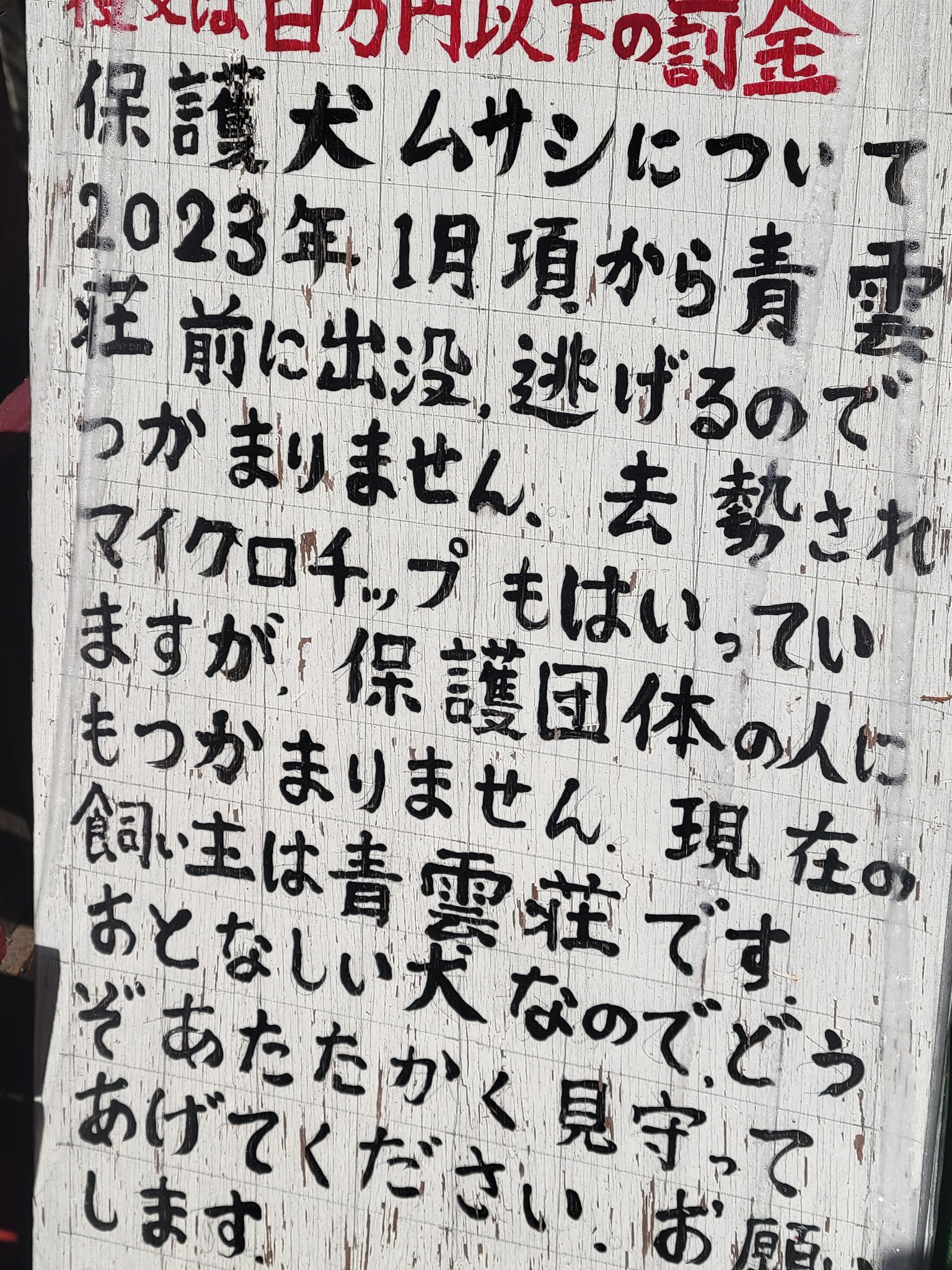 コメントしておねがいします atsuko.k on X: 