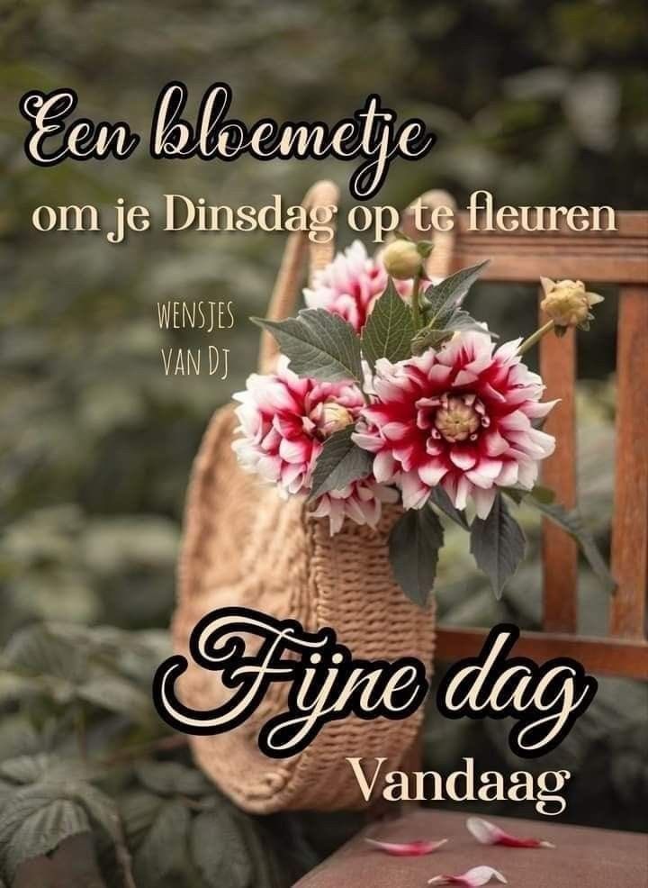Goedemorgen iedereen
