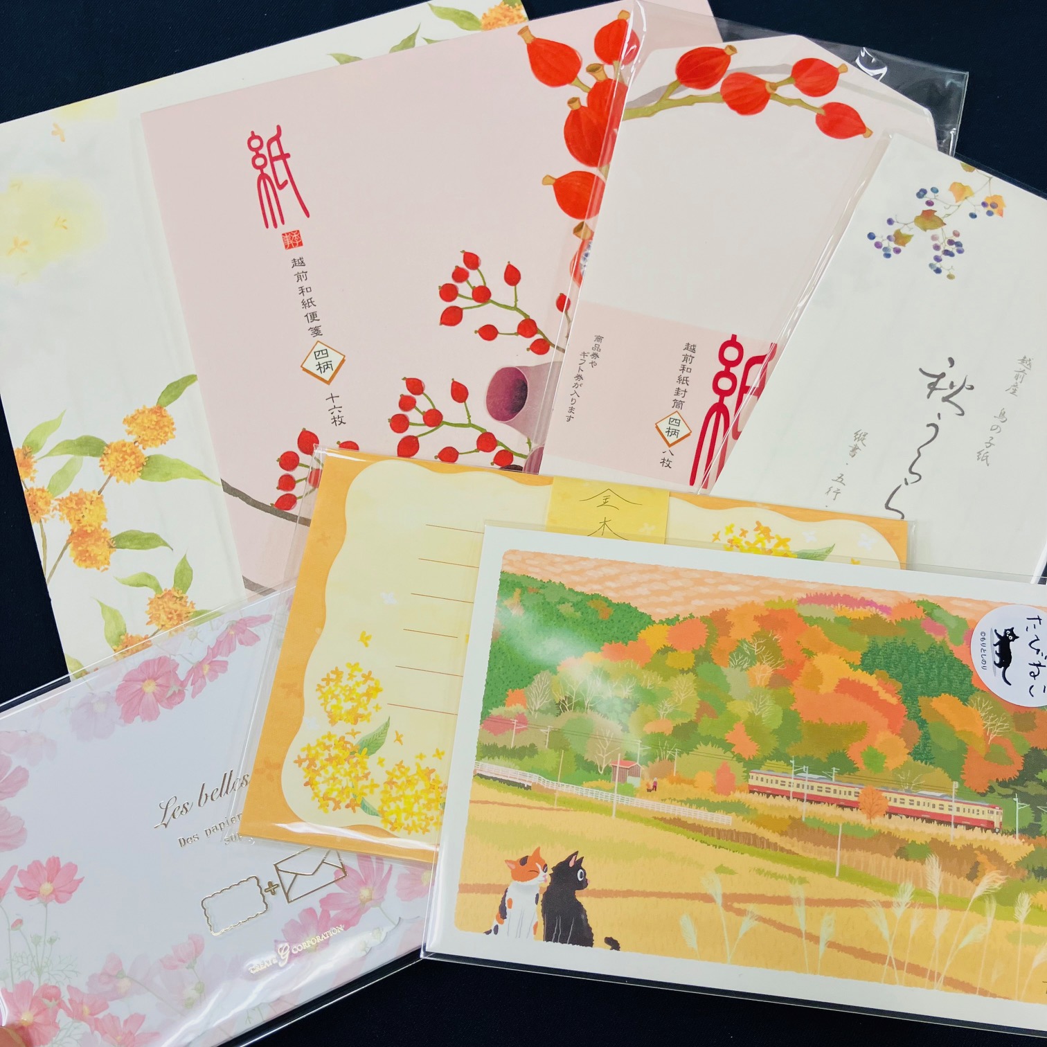 紀伊國屋書店 梅田本店 (@KinoUmeda) / X